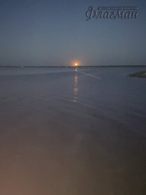 B0202390-16C0-4D43-AF75-1DA84B8148A7